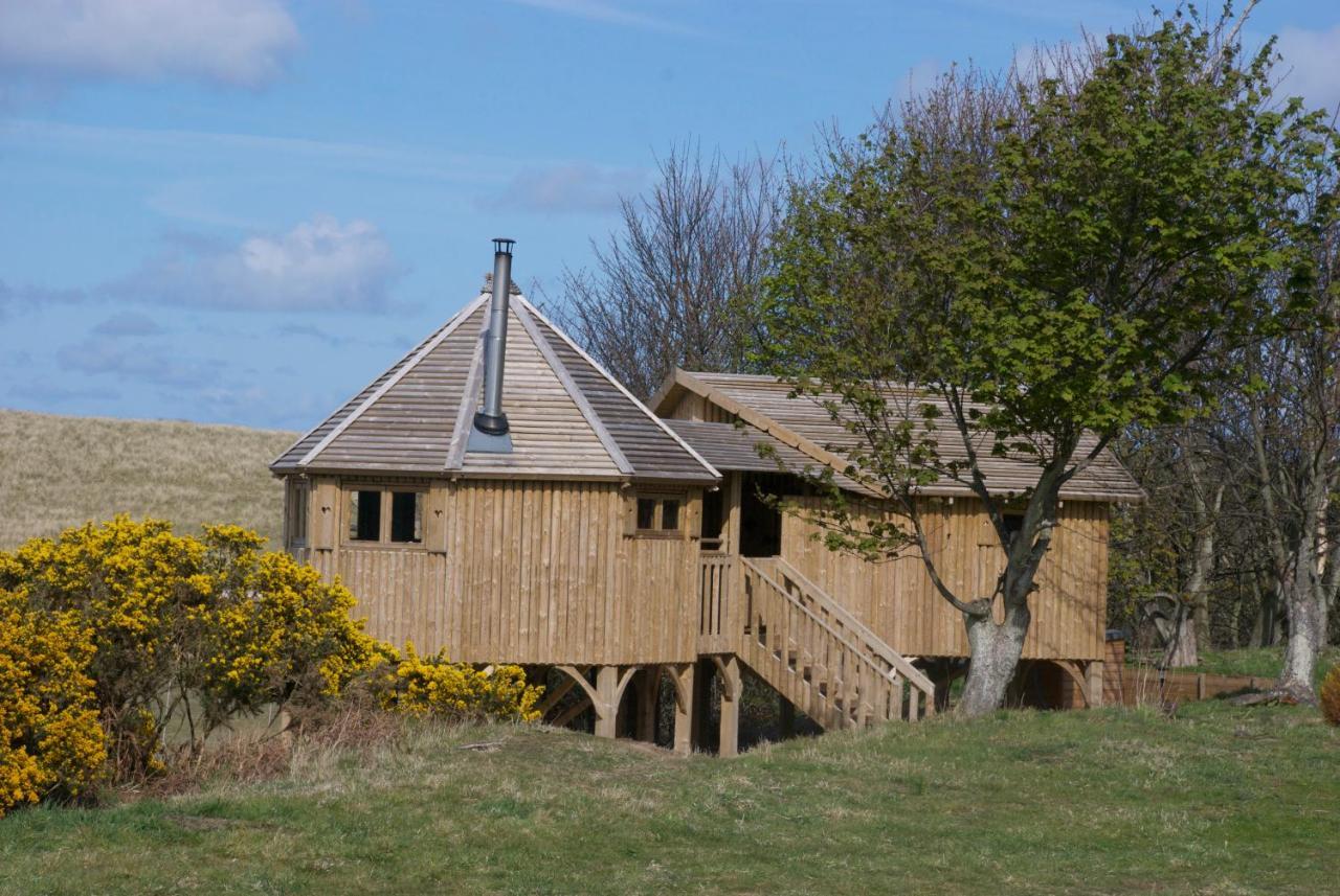 Harvest Moon Treehouse Dunbar Exterior photo